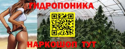 jwh Пушкино